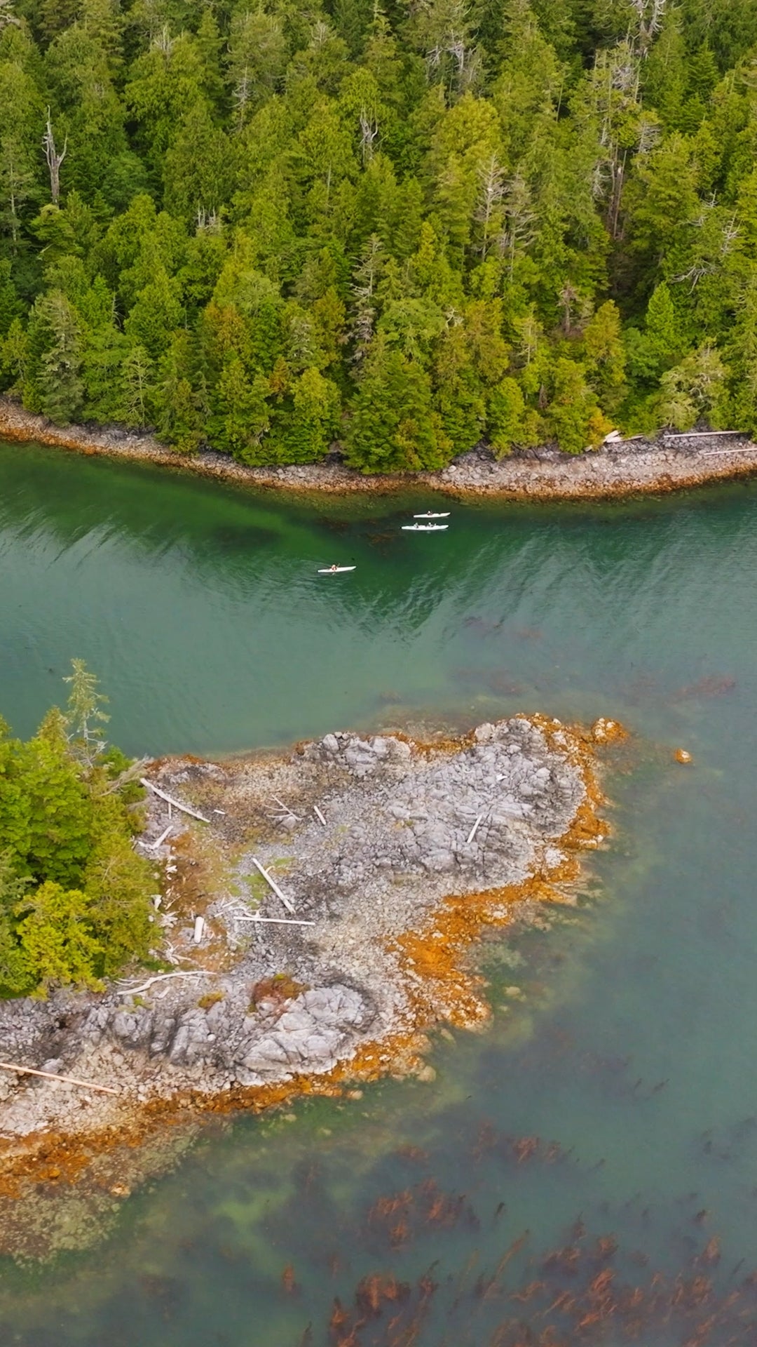 Vertical | Coastal Kayakers 2