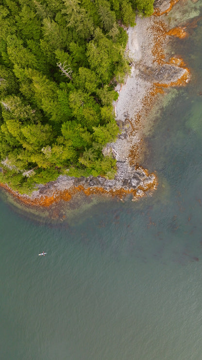 Vertical | Coastal Kayaker 1