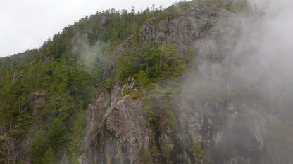 Misty Forest Cloud Drone Timelapse 2