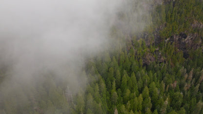 Misty Forest Cloud Drone Timelapse | Collection