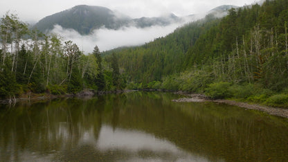 Misty Forest Cloud Drone River Timelapse 6