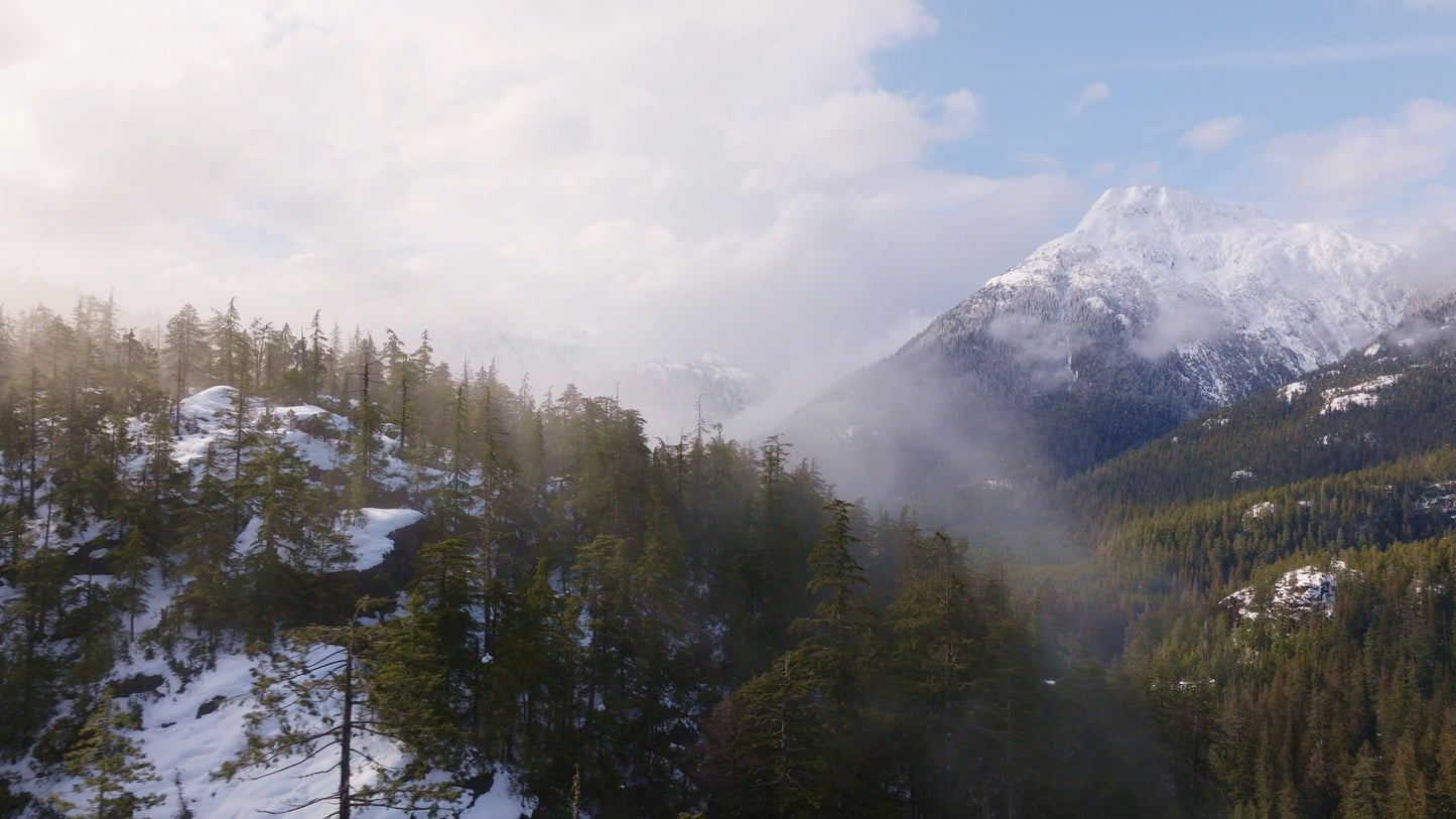 Cloudy Forest Mountains | Collection