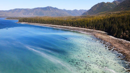 Herring Spawn Aerial 2