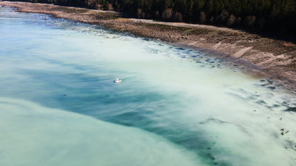 Herring Spawn Boat Aerial 1