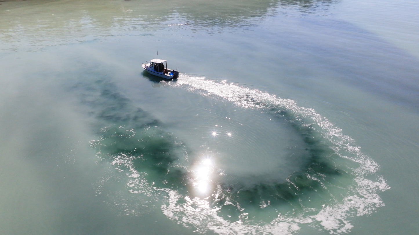 Herring Spawn Boat Aerial 2