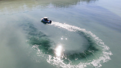 Herring Spawn Boat Aerial 2