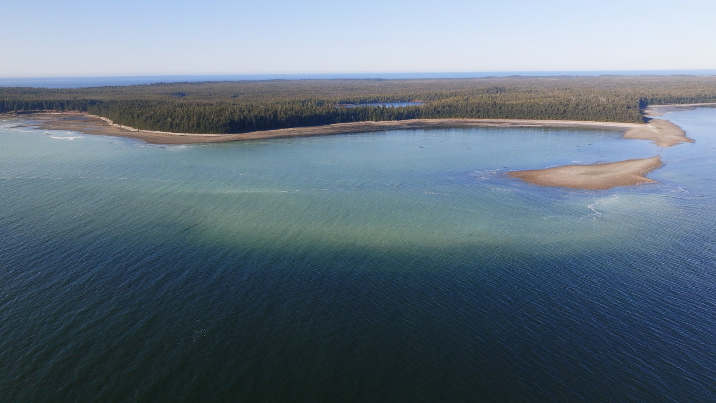 Herring Spawn Aerial 3