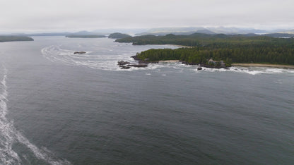 Tofino Beach 5