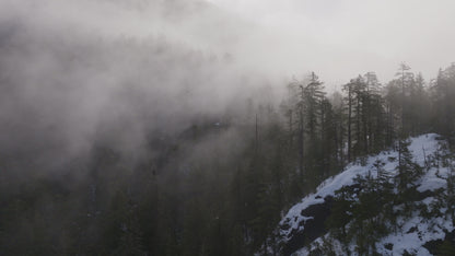 Cloudy Forest Mountains | Collection