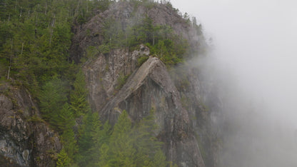 Misty Forest Cloud Drone Timelapse 2