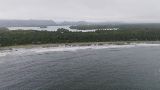 Tofino Beach 2