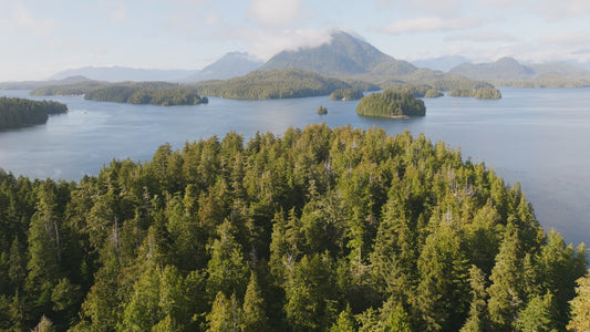 Clayoquot Sound by Tofino 3