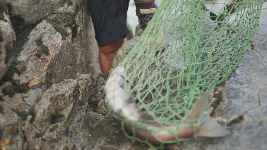 Traditional Dip Net Salmon Fishing 3