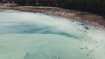 Herring Spawn Boat Aerial 1