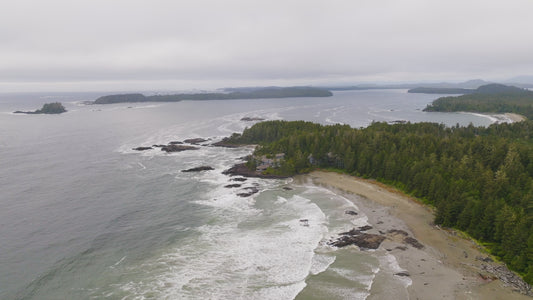 Tofino Beach 1