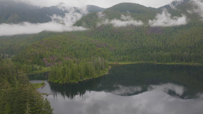 Misty Forest Cloud Drone Timelapse 5