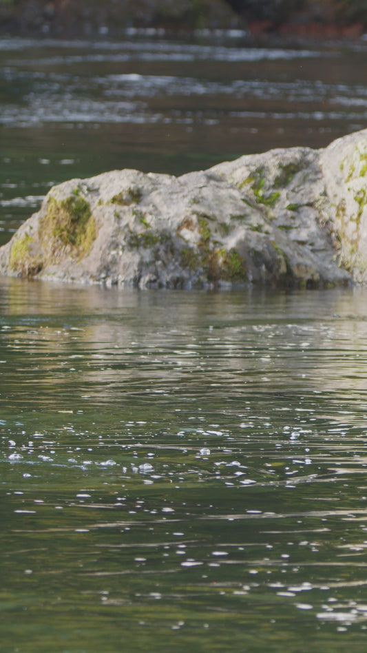 Vertical | Salmon Jumping 2