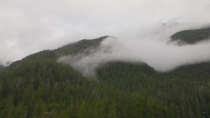 Misty Forest Cloud Drone Timelapse | Collection