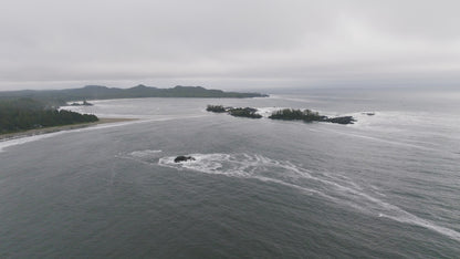 Tofino Beach 3