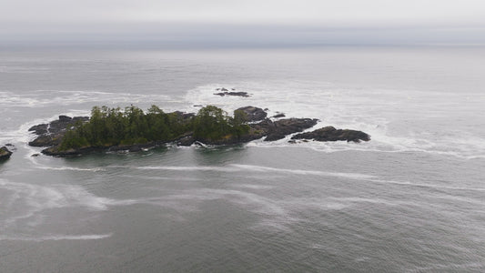 Waves Crashing on Rocks in Tofino 2