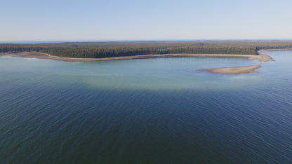 Herring Spawn Aerial 3