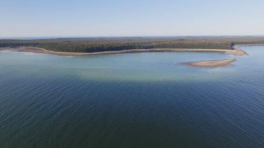 Herring Spawn Aerial 3