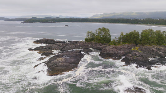 Tofino Beach 4