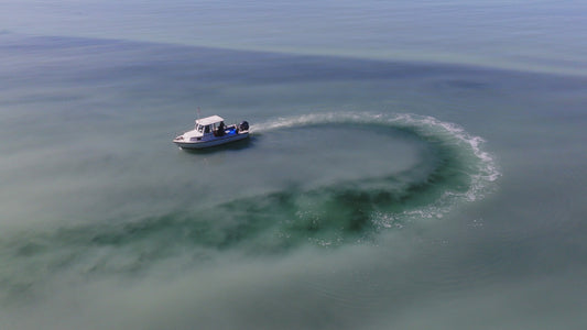 Herring Spawn Boat Aerial 2