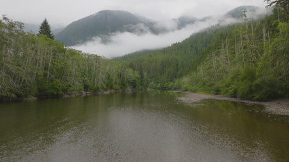 Misty Forest Cloud Drone River Timelapse 6