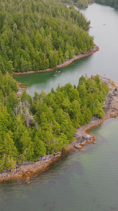 Vertical | Coastal Kayakers 2