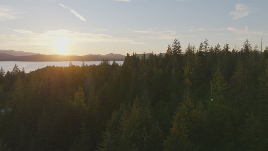 British Columbia Coastline - Forest and Ocean