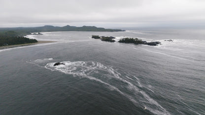 Tofino Beach 3