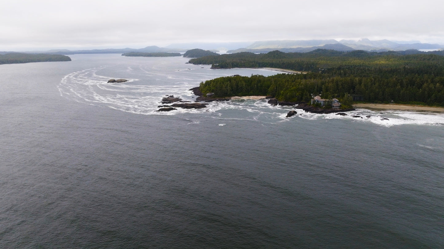 Tofino Beach 5