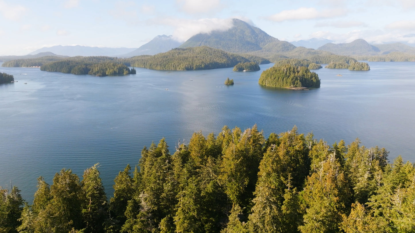 Clayoquot Sound by Tofino 3