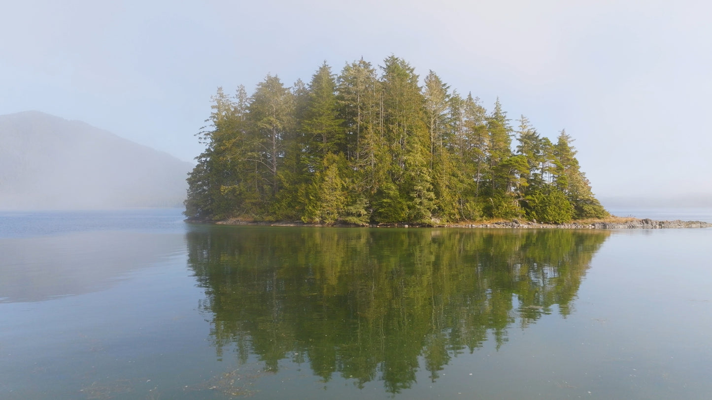 Clayoquot Sound by Tofino 4